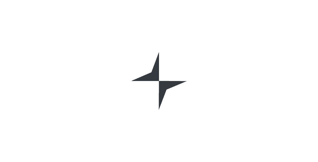 Stallae Star Logo